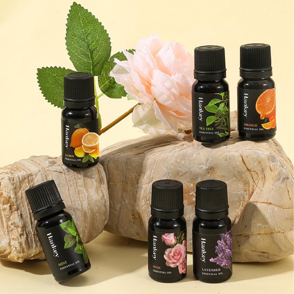 10ml Natural Plant Essential O - Home Fragrance Aroma Set review and price
